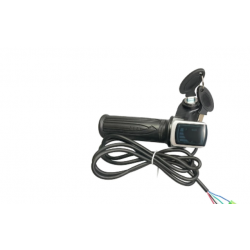 Acelerador 24V 36v 48V 3...