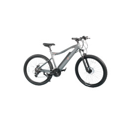 Skalar rental diario