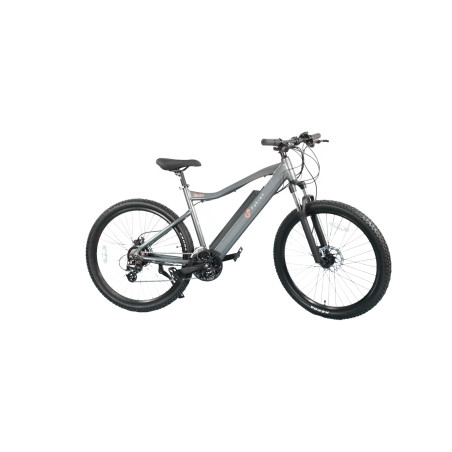 Skalar rental hora
