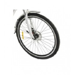 Llanata delantera de Fluss